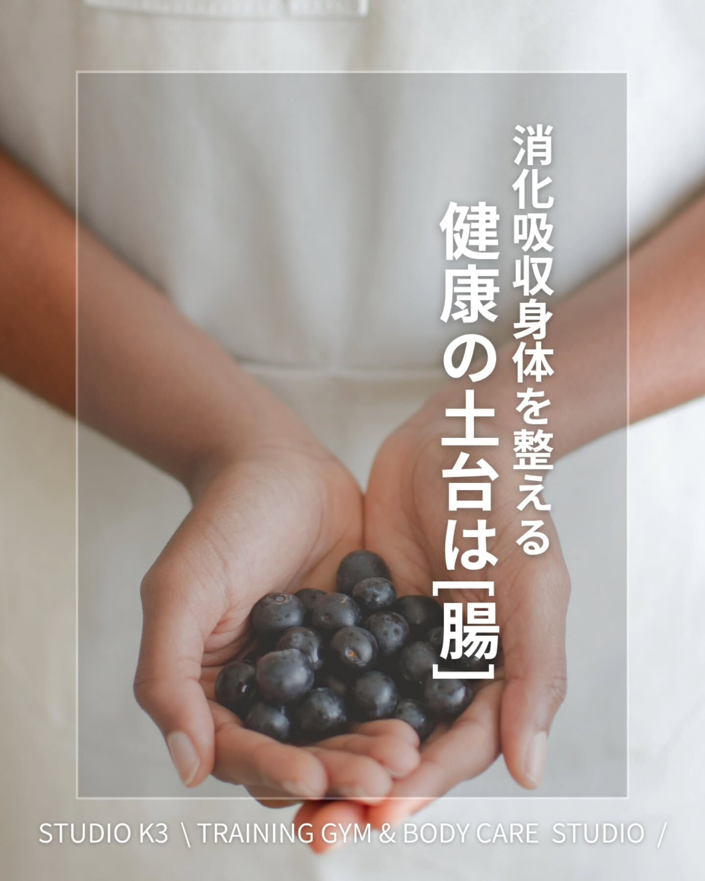画像18919：\ \ 腸活すれば健康？ / /