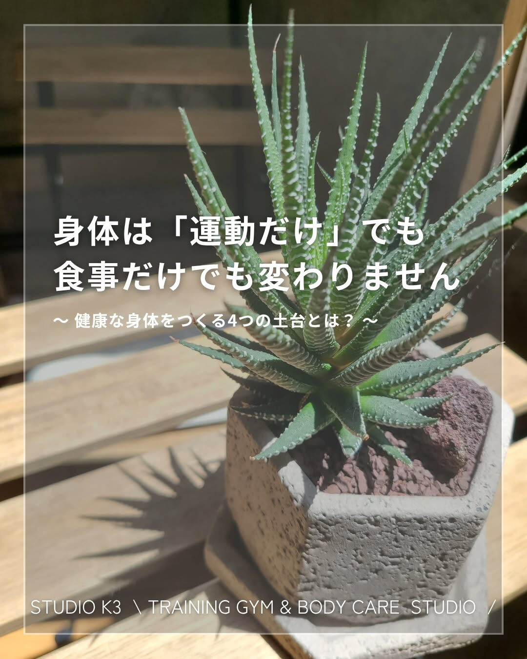 画像18949：\ \ STUDIO K3 の信念 / /