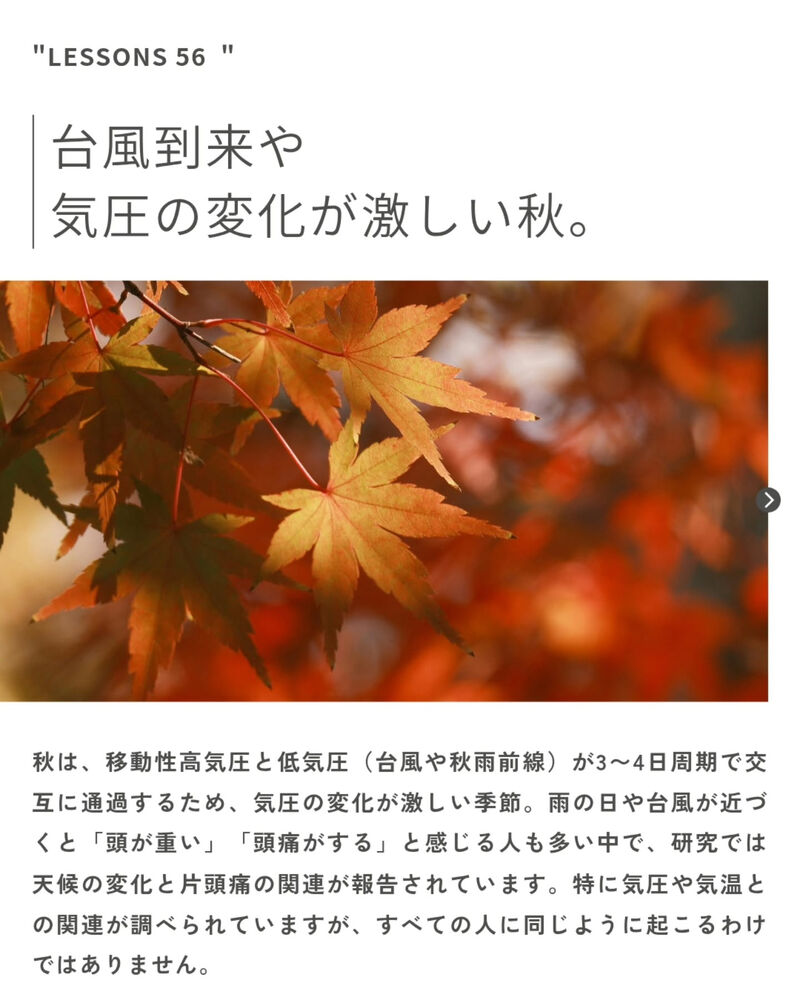 ブログ