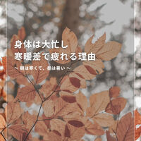 ブログ