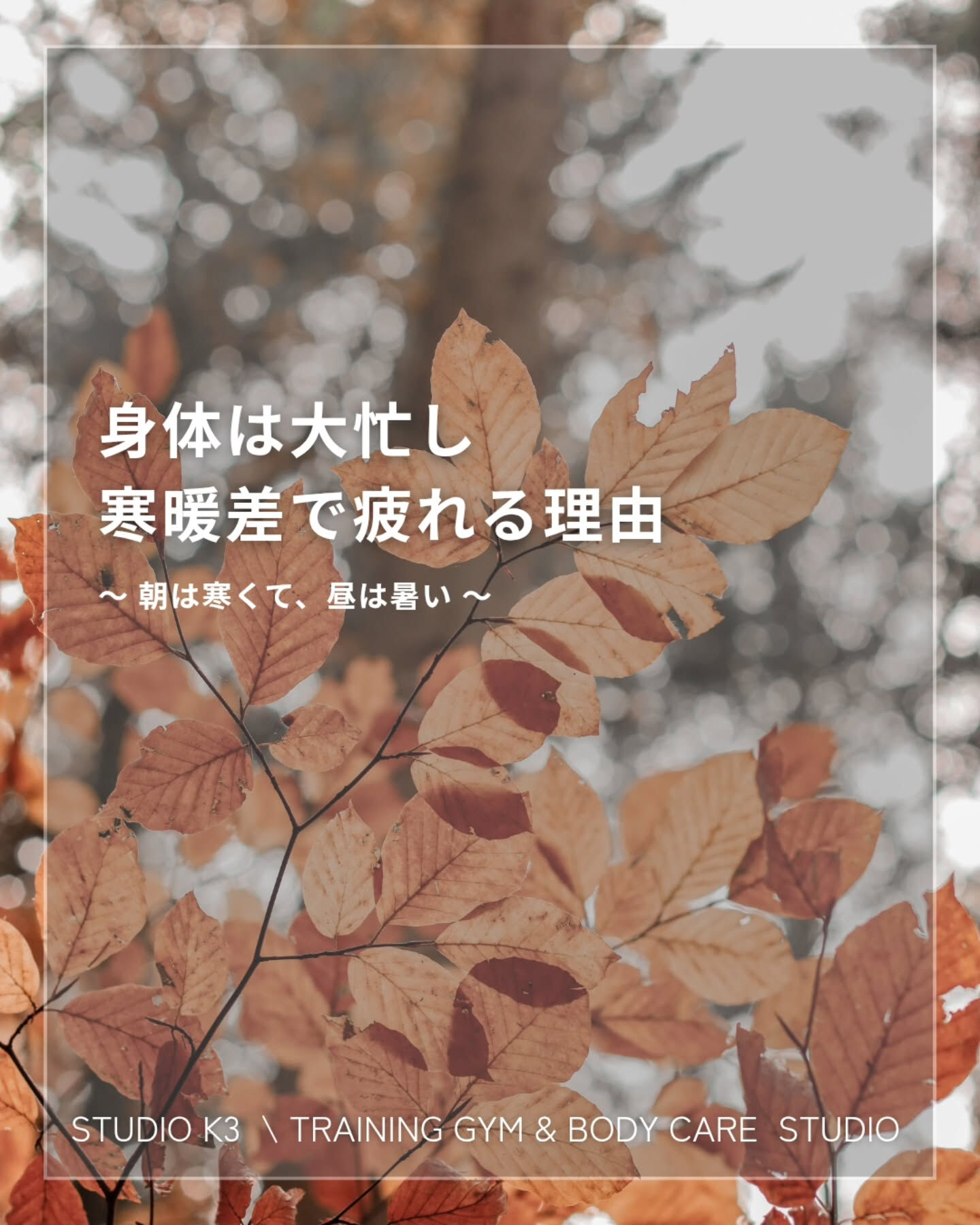 画像21604：\ \ インフルエンザも流行ってます😷 / /